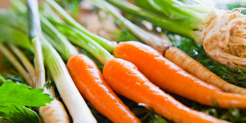 Fresh young vegetables ingredients for cooking delicious organic veggie stock -  base for all the soups: carrots, parsley roots, leeks, celeriac, cellery, dill, parsnip.