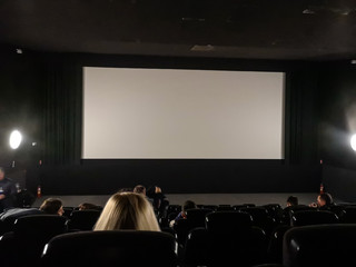 Screen view of the cinema from the rear seats before viewing the cinema