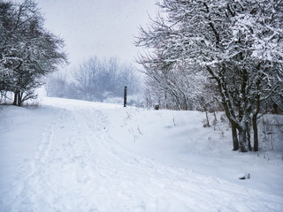 Fototapeta premium Snowy footpath below hill among trees - heavy snowfall captured in motion