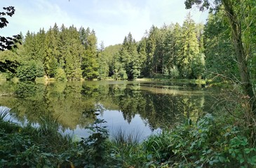 Fototapeta na wymiar Lake in Bohemian Swtzerland
