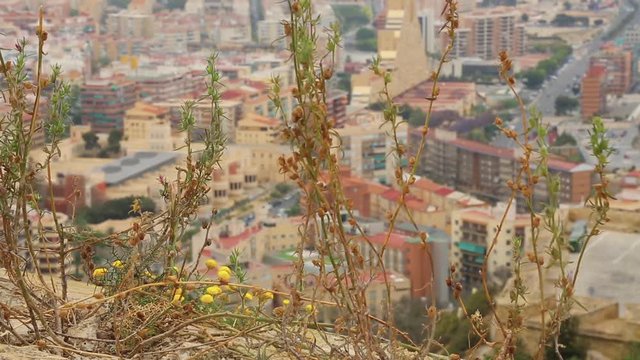 Beautiful views of the Alicante. Costa Blanca. HD