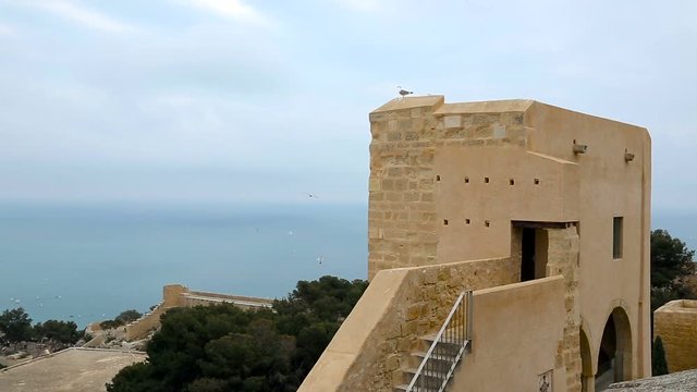 Sea gulls fly over the fortress. Spain Alicante. Fortress of Santa Barbara. HD