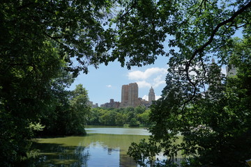 Fototapeta na wymiar A View from Central Park