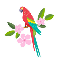 Parrot sits on a branch with flowers