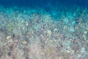Healthy coral reefs fringe remote limestone islands amid Raja Ampat, Indonesia. This amazing region is famous for its high marine biodiversity and is a popular destination for divers and snorkelers.