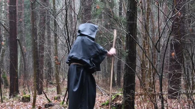 A monk in a black robe walks with a staff through the forest, a wandering druid in a cassock makes his way through the thickets 1