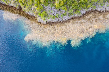 Healthy coral reefs fringe remote limestone islands amid Raja Ampat, Indonesia. This amazing region...
