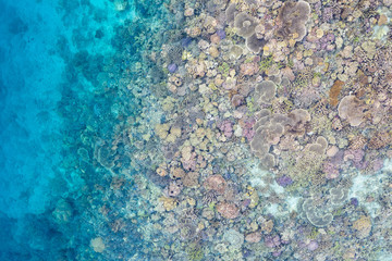 Healthy coral reefs fringe remote limestone islands amid Raja Ampat, Indonesia. This amazing region is famous for its high marine biodiversity and is a popular destination for divers and snorkelers.