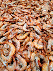 cooked shrimps in the fish market