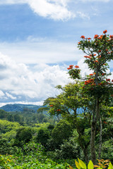 Colombia