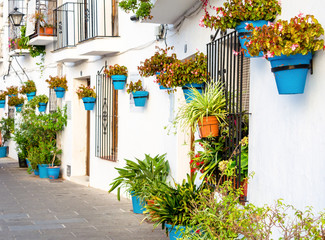 White-fronted houses, adorned with blue pots with their flowers from the village of Mijas, Malaga, Spain