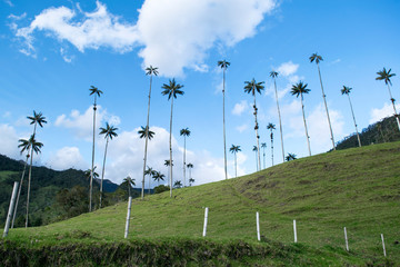 Paisajes de Colombia