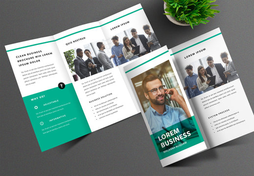 Business Trifold Brochure Layout with Teal Accent