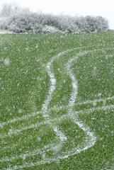 Líneas verticales en zigzag marcadas por la nieve en un prado