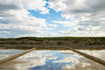 Campi&ntilde;a Cordobesa