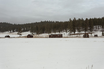 Forgotten vintage log cabins left abandoned in a snowy field with thick treeline on gloomy day