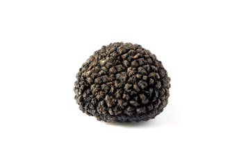 Black truffle isolated on white background