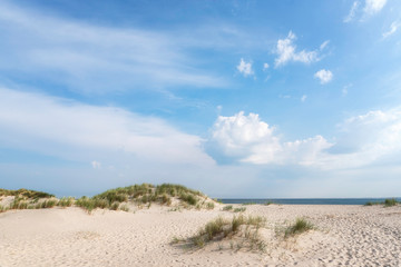 Fototapeta na wymiar White sand beach landscape on a sunny summer day on Sylt island