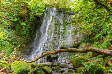 New Zealand, Oceania, South Island, Otago, Caberfeidh, Maitai Falls