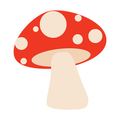 Isolated red an white mushroom