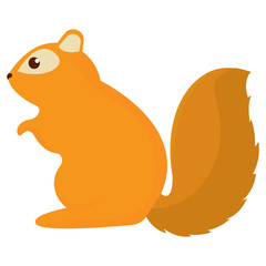 Isolated cute chipmunk