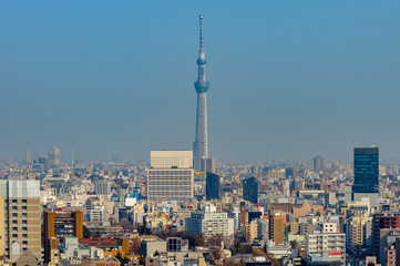 Obraz premium Tokyo, Japan skyline