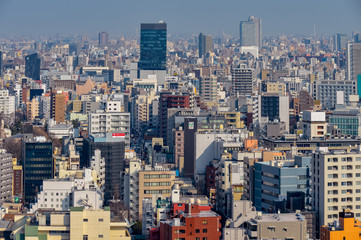 Fototapeta na wymiar Tokyo, Japan skyline