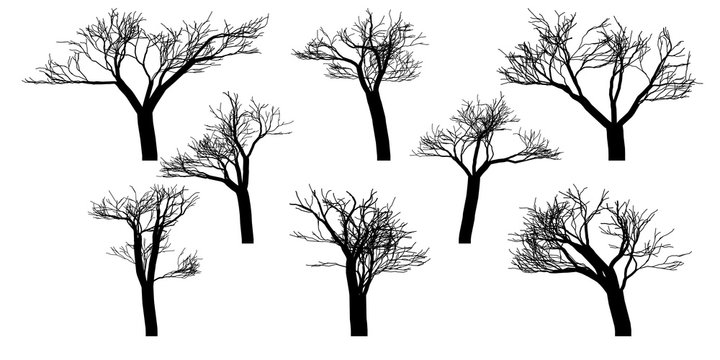 Black silhouettes of naked vector trees. Set isolated on a white background.