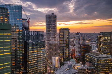 Fototapeta premium Tokyo, Japan skyline