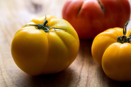 Close up view of tomatoes