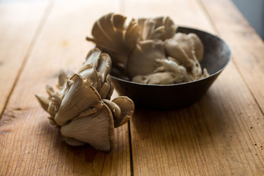 View of maitake mushrooms