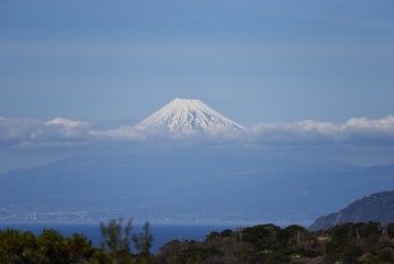 Fototapeta premium Mt. Fuji of the crown snow taken in Izu Peninsula in February.