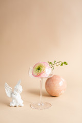Pink peony flower in coupe champagne glass, tan background, studio shot