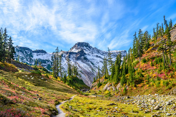Fragment of a trail in Mount Baker Visitor Center, WA, USA.