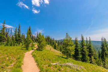 Beautiful Mountain Trail. Blackwall Peak Trail at Manning Park in British Columbia. Canada.