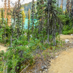 Beautiful Mountain Trail View at Joffre Lakes, British Columbia, Canada.