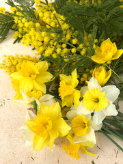 Daffodil Yellow Flowers for women's day