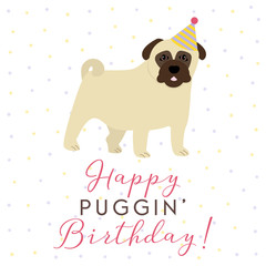 Fototapeta na wymiar Vector illustration of a pug wearing a party hat. Happy Puggin' Birthday!