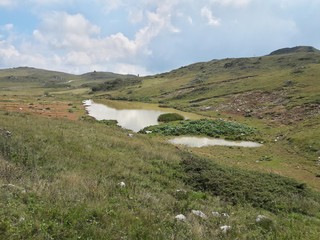 Fototapeta na wymiar Mountain landscape with golden meadows and small lake