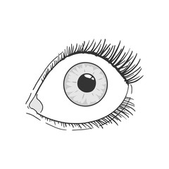 Design of opened woman eye