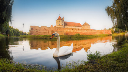 castle on the lake © IoanBalasanu