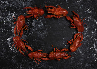 Flat lay, red oval crayfish on a black background