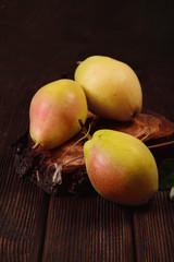 Still life with winter with three winter pears