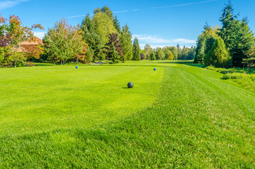 Fototapeta na wymiar Golf course with gorgeous green