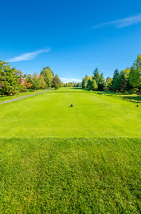 Golf course with gorgeous green