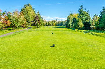 Obraz premium Golf course with gorgeous green