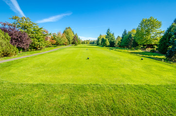 Golf course with gorgeous green