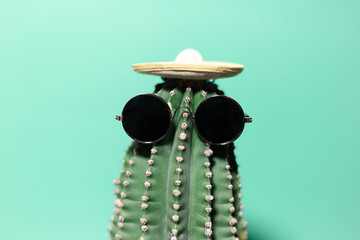 Close-up portrait of green cactus with mexican hat and sunglass, isolated on background of aqua menthe color.
