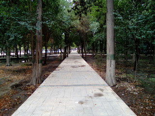 path in the park
