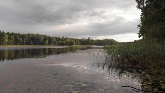 Water caltrop chestnut reeds covered beautiful forest lake low over water aerial sunset